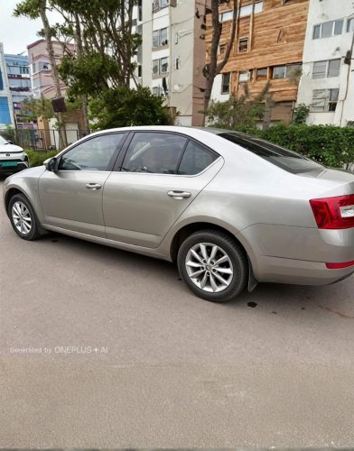 Skoda Octavia 2.0 TDI