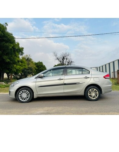 vaishnav (3)