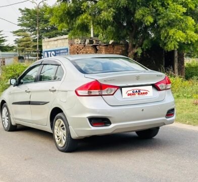 vaishnav (8)