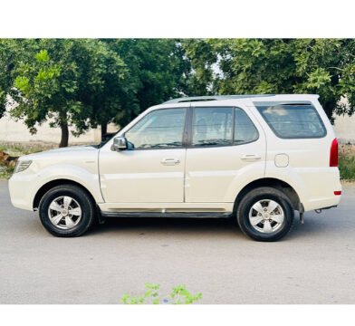 october car list – 03 (38)